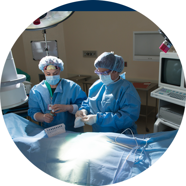 Surgical services overview illustration